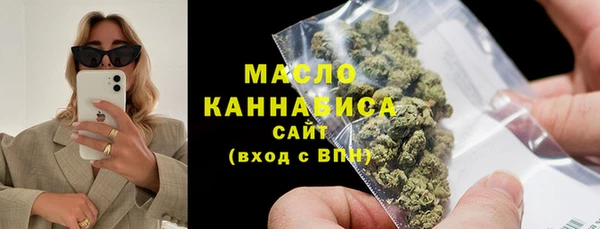 мдпв Вяземский