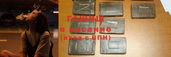 мдпв Вяземский