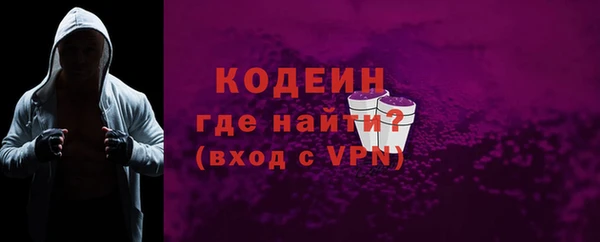 мдпв Вяземский