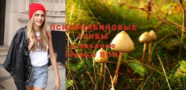 мдпв Вяземский