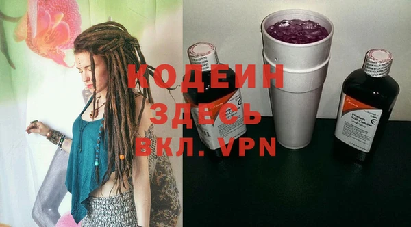 мдпв Вяземский