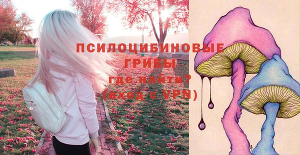 герыч Вязьма