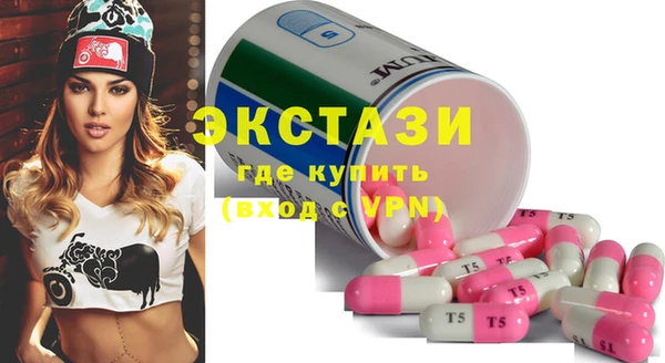 мдпв Вяземский