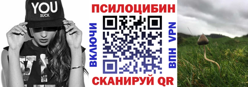 Галлюциногенные грибы GOLDEN TEACHER  МЕГА   сайты даркнета формула  Дигора 